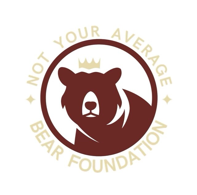 Campaign cover image for NYAB 2023 SILENT AUCTION