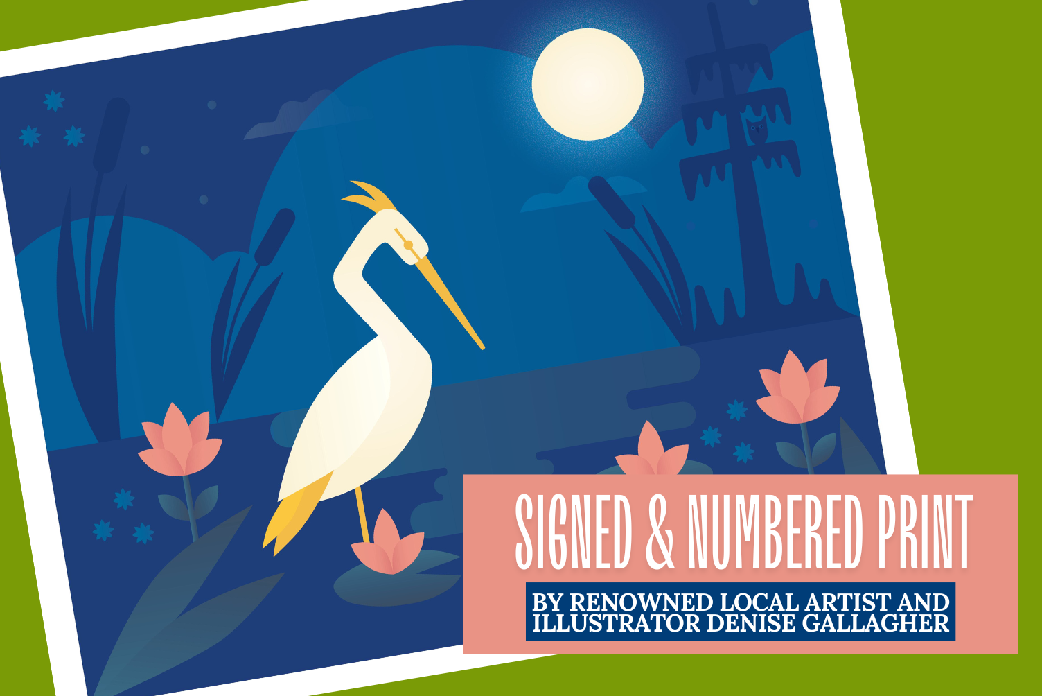 Campaign cover image for Own a Piece of SoLAcc's Transformation