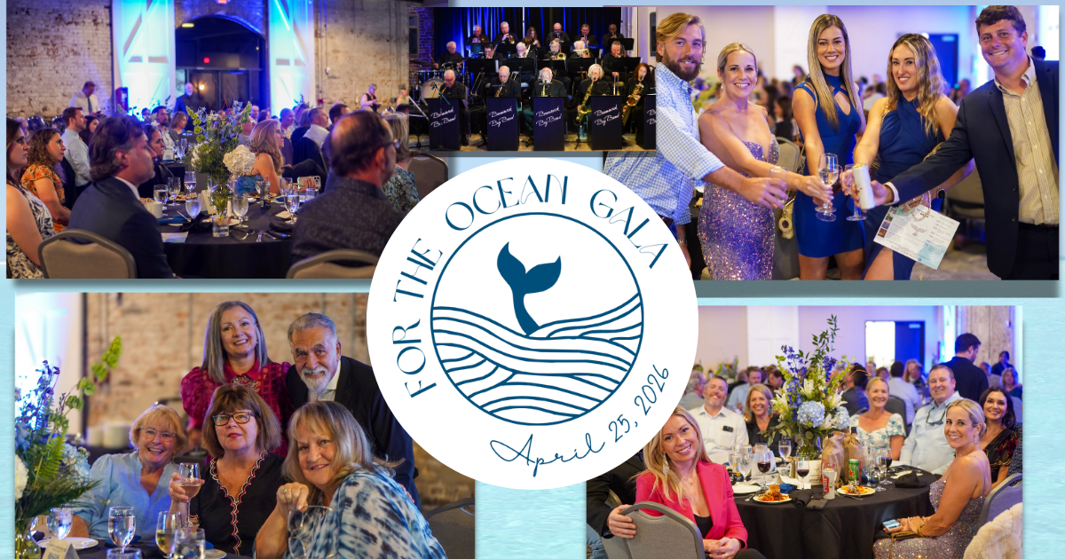 Campaign cover image for 5th Annual For the Ocean Gala