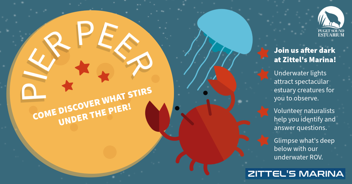 Campaign cover image for Pier Peer @ Zittel's Marina MAY 2026