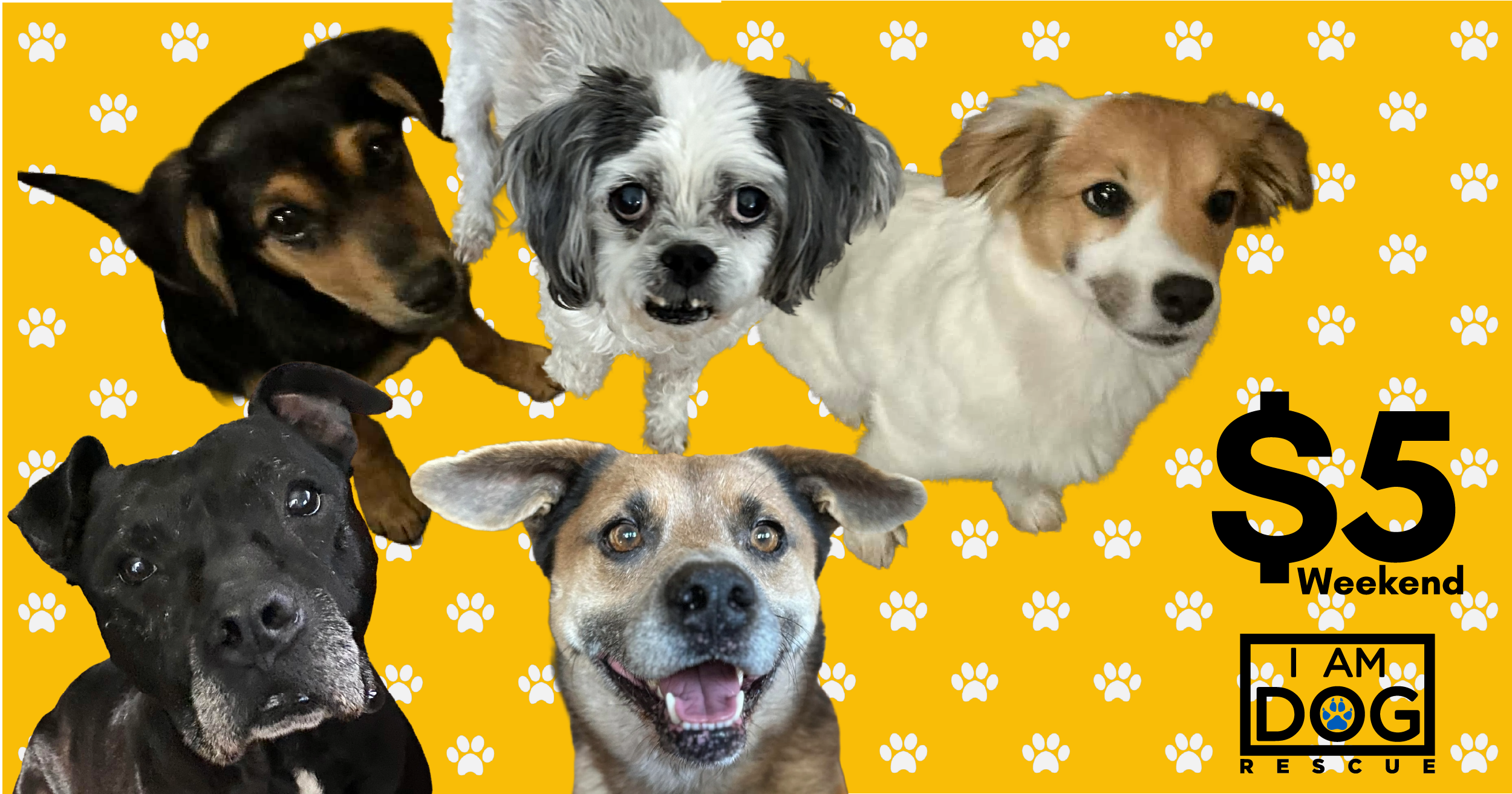 Campaign cover image for February $5.00 Weekend