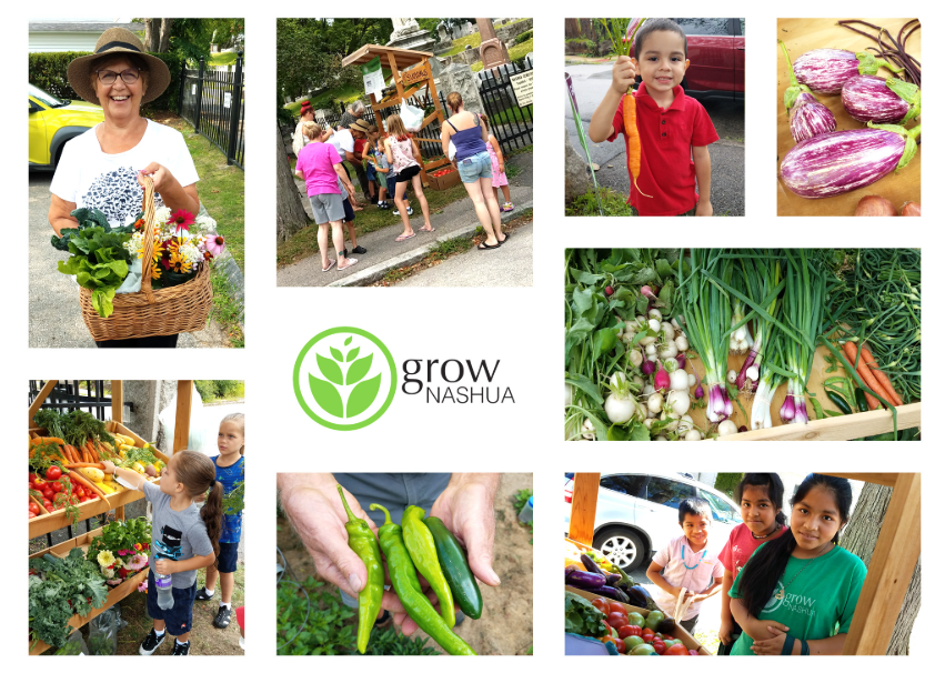 Campaign cover image for Grow with us year round