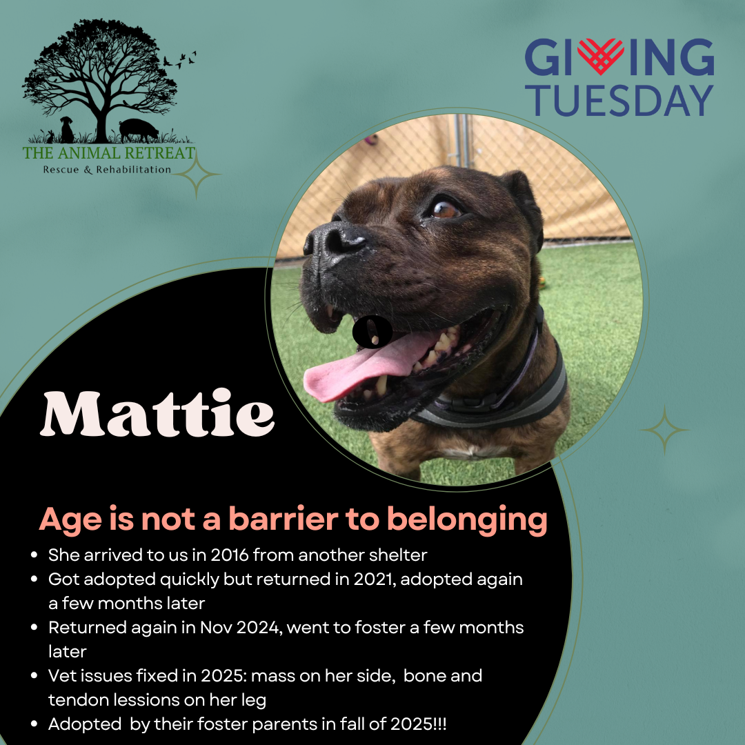 Campaign cover image for Giving Tuesday: Age is not a barrier to belonging