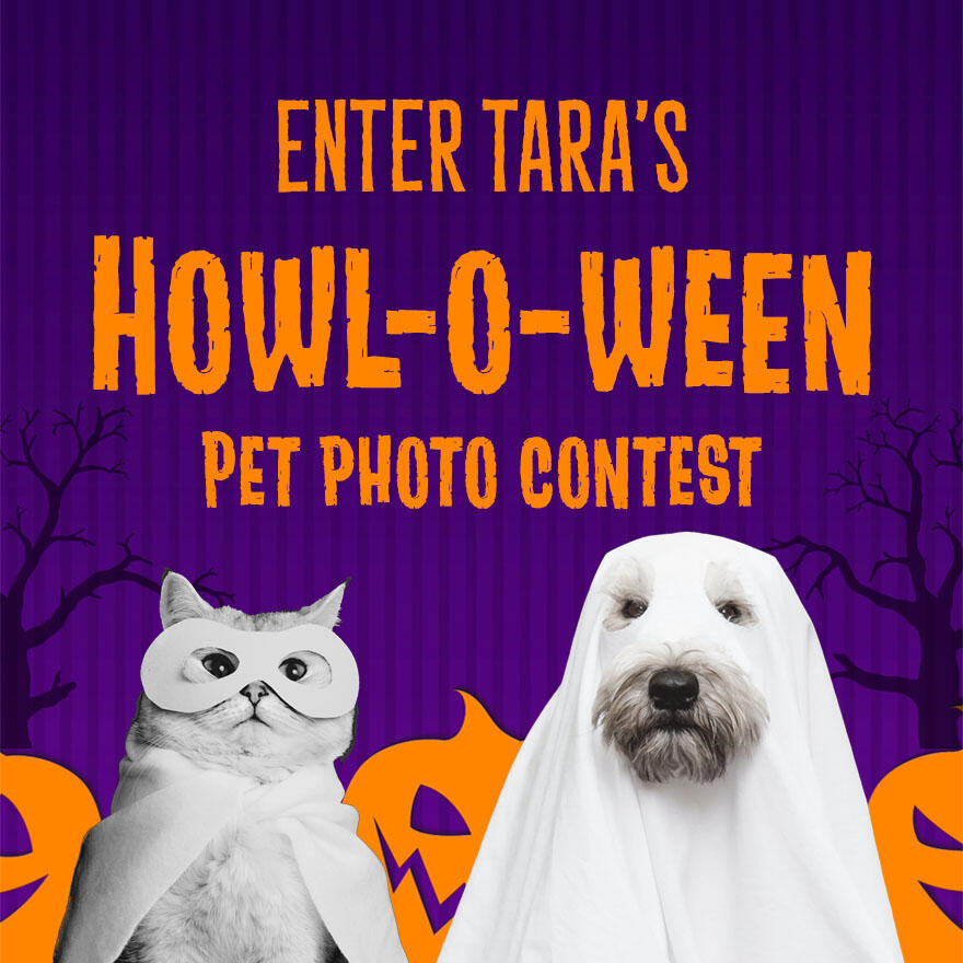 Campaign cover image for T.A.R.A.'s Howl-O-Ween Pet Contest 🎃🐾