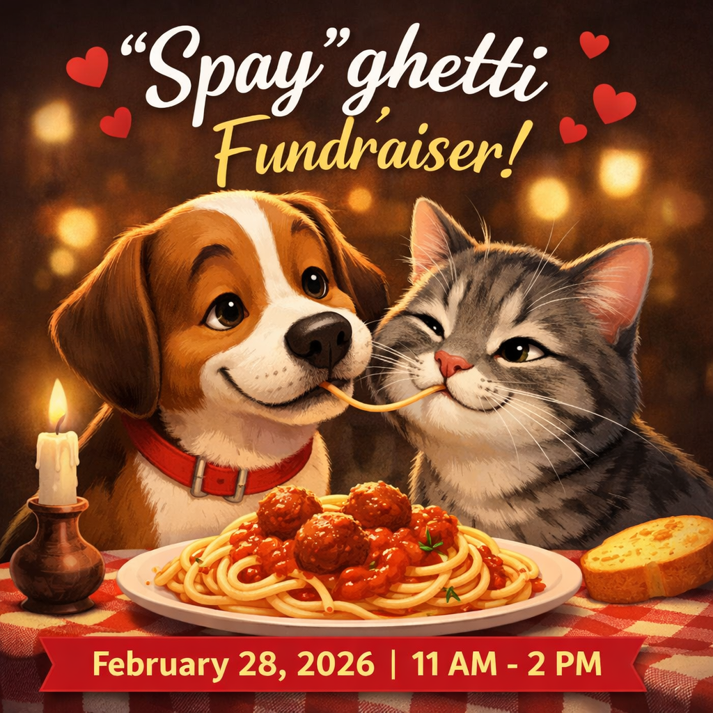 Campaign cover image for 🍝🐾 That’s Amore! The Spay’Ghetti Luncheon
