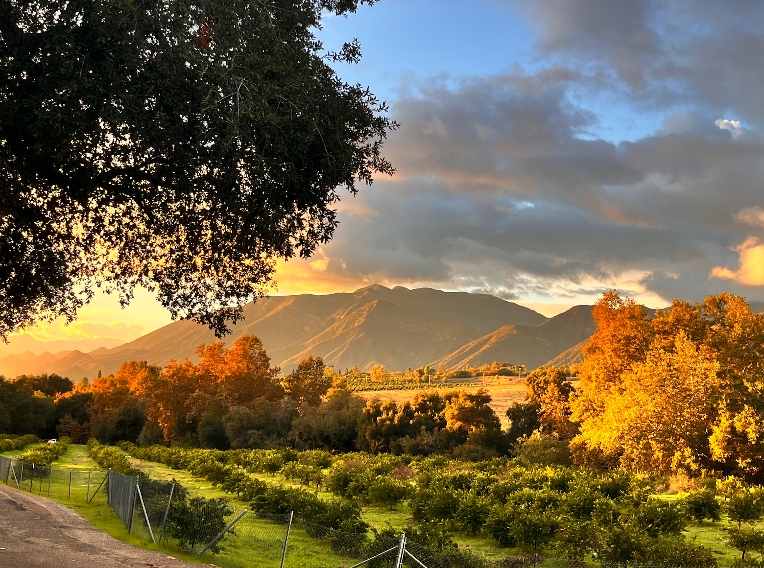 Campaign cover image for Legacy Giving