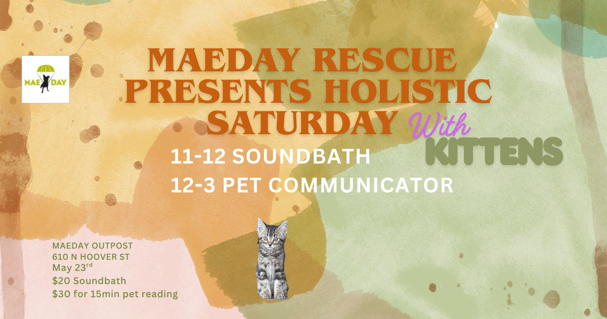 Campaign cover image for MaeDay Rescue Holistic Saturday