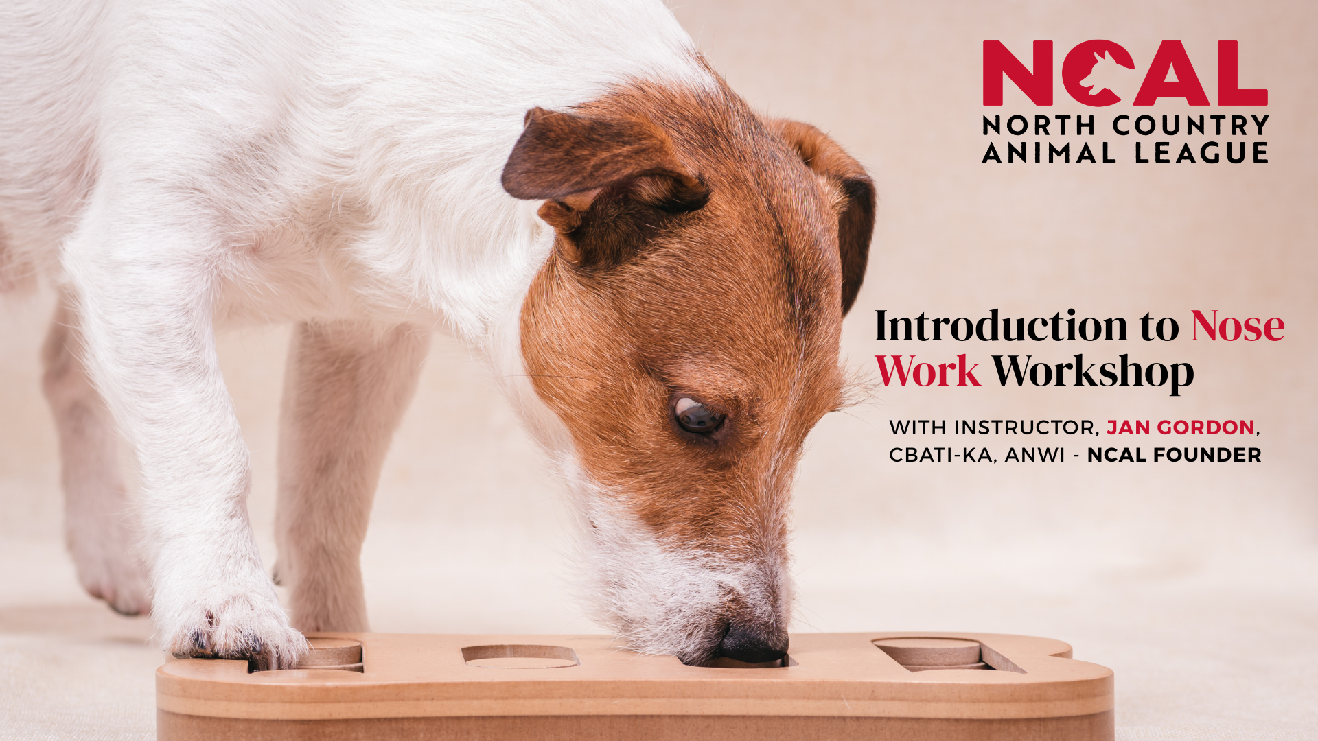 Campaign cover image for NCAL Nose Work Workshop
