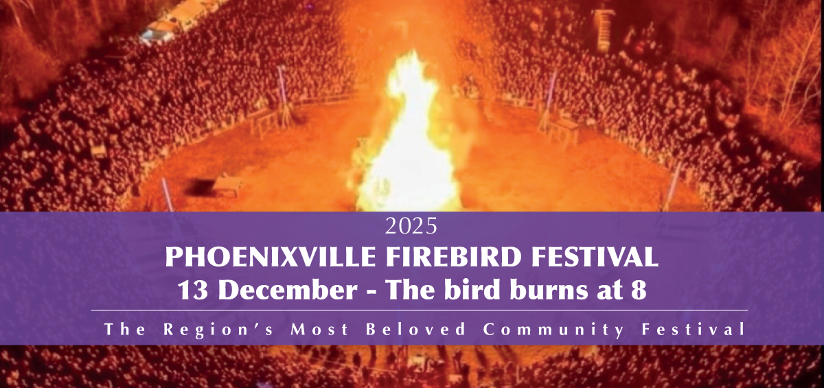 Campaign cover image for 2025 Firebird Festival Vendors