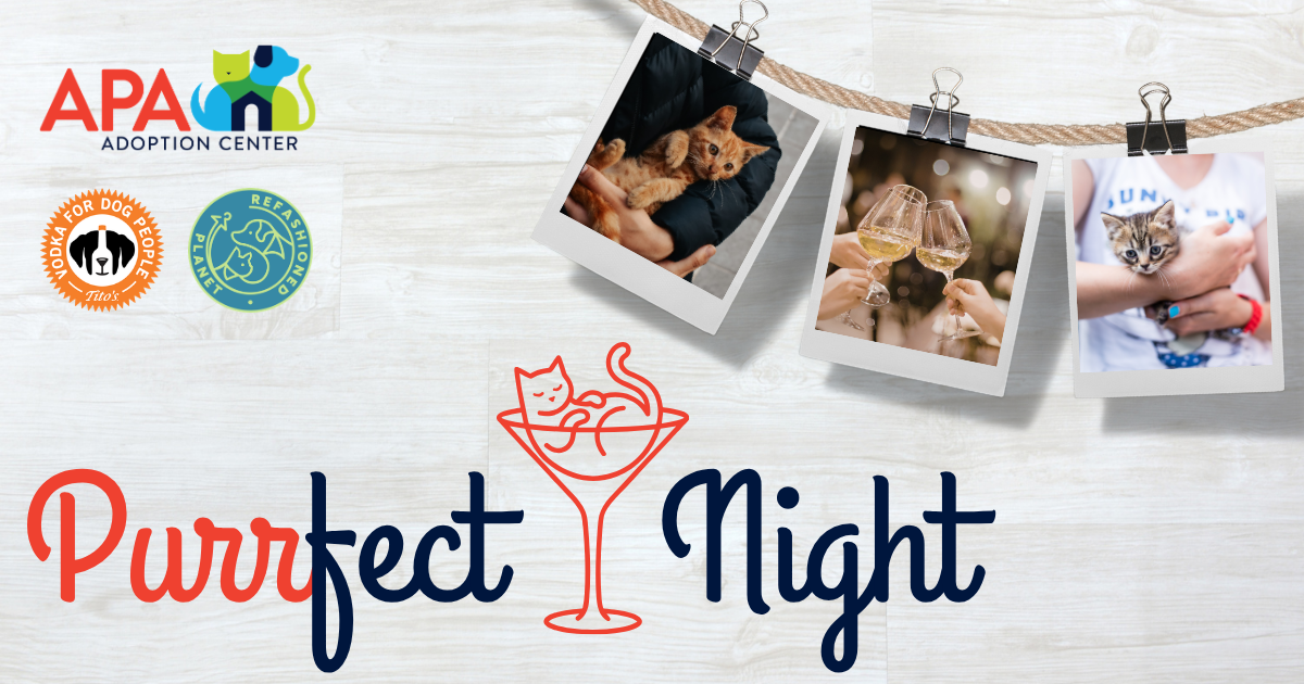 Campaign cover image for The Purrfect Night.
