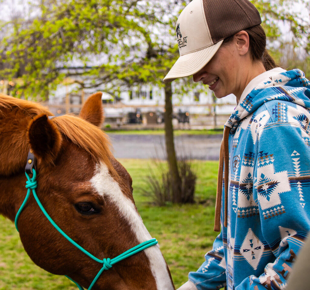 Campaign cover image for Hands-On Horse Experience: 3 Weeks at the Sanctuary