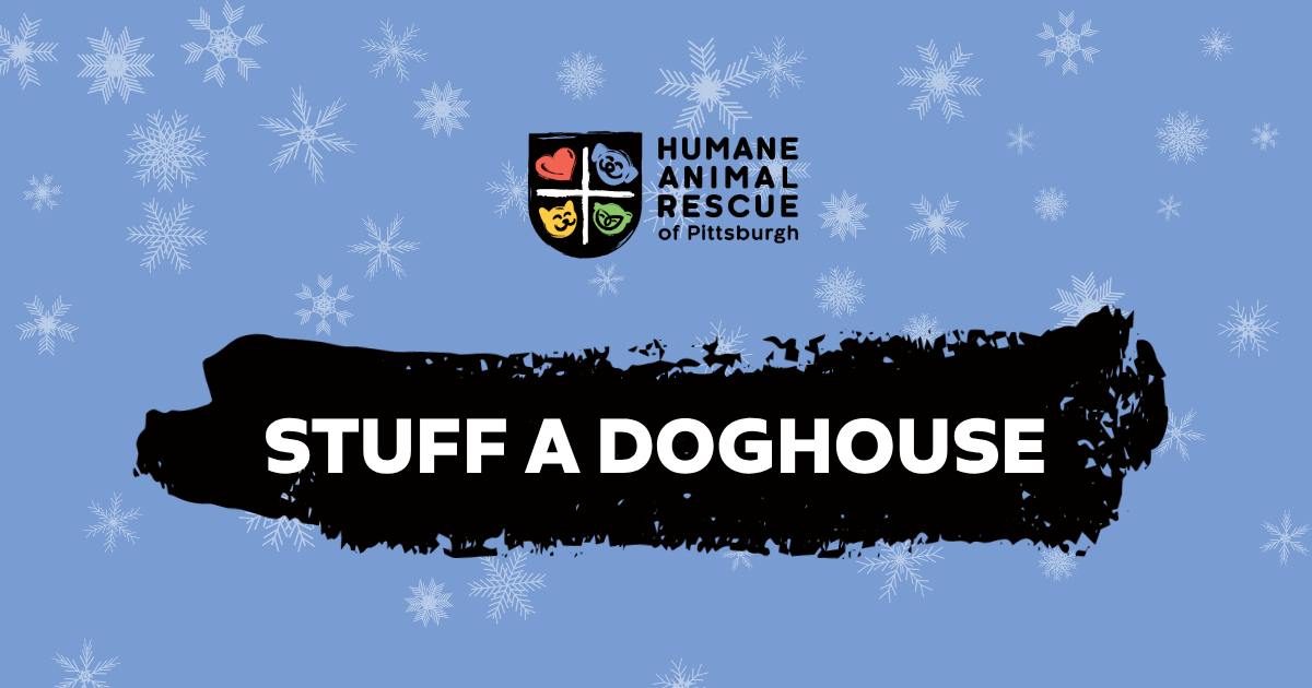 Stuff A Doghouse! | Humane Animal Rescue of Pittsburgh
