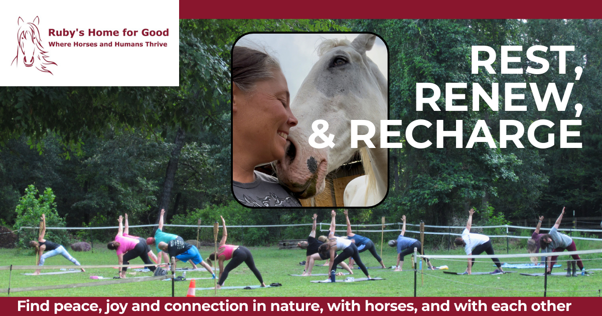 Campaign cover image for POSTPONED! Nov 15, 2025 Wellness Retreat at Ruby's Home for Good