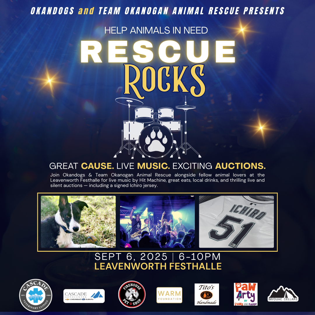 Campaign cover image for Rescue Rocks