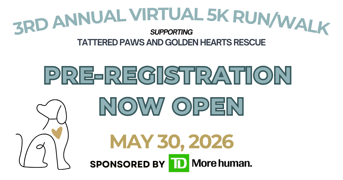 Campaign cover image for 2026 TPGHR 3rd Annual Virtual 5K Run/Hike/Walk