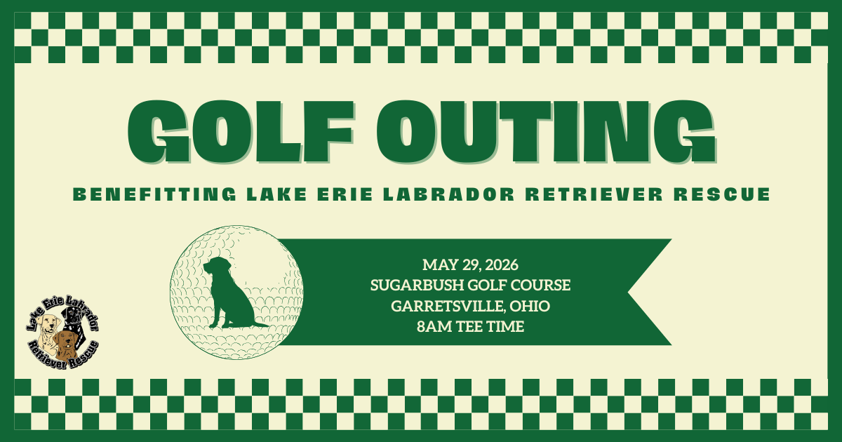 Campaign cover image for 2026 Golf Outing