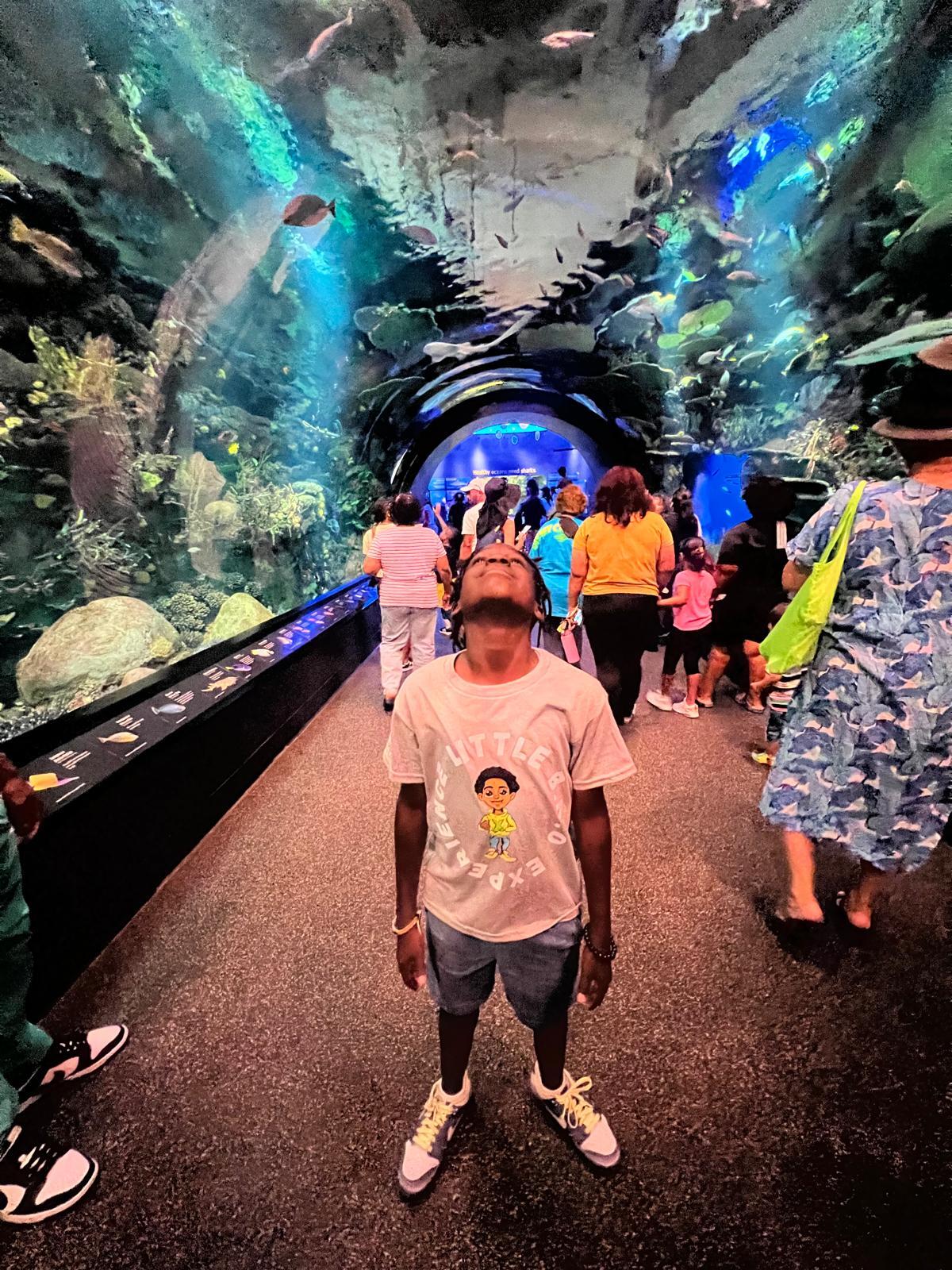 Campaign cover image for Support Little BRO Summer Camp: Social Emotional Learning, Literacy, and Fun for Young Brooklynites