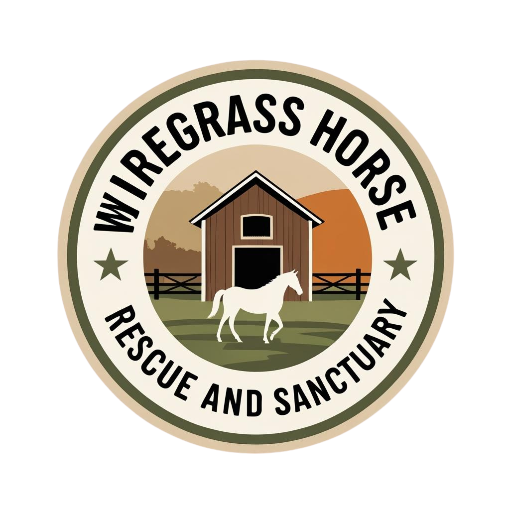 Campaign cover image for Driveway Campaign-Donate and WIN!