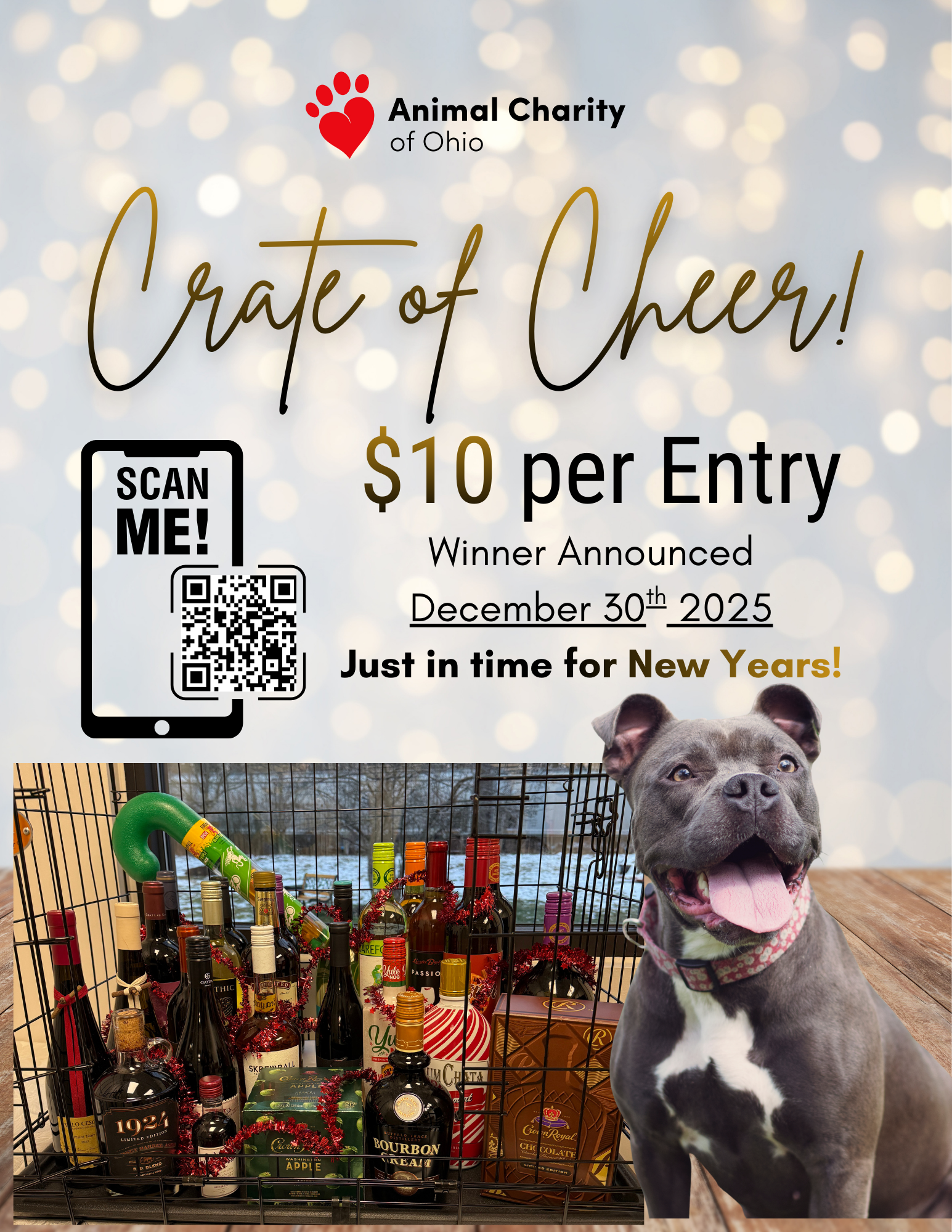 Campaign cover image for Holiday Crate of Cheer!