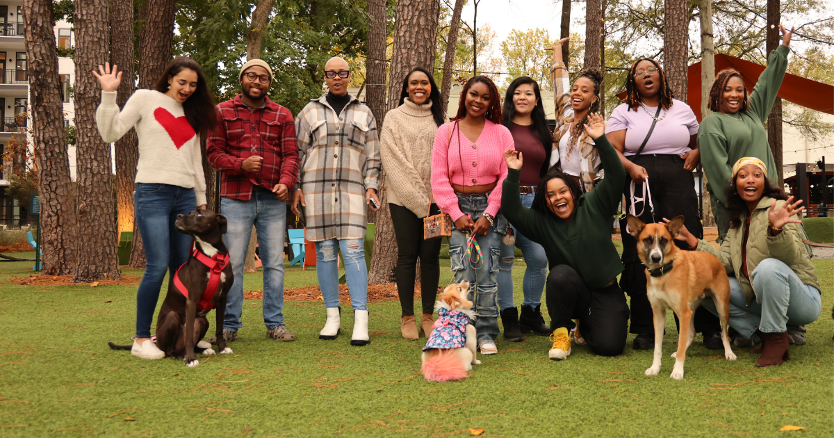 Campaign cover image for The Village Pet Project