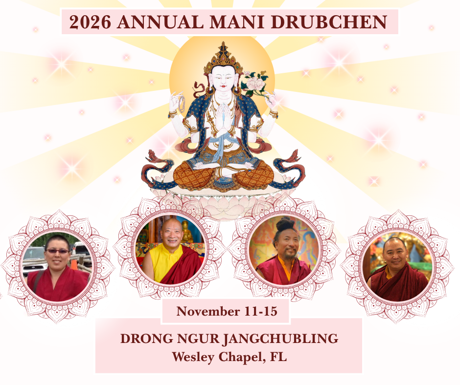 Campaign cover for Mani Drubchen 2026