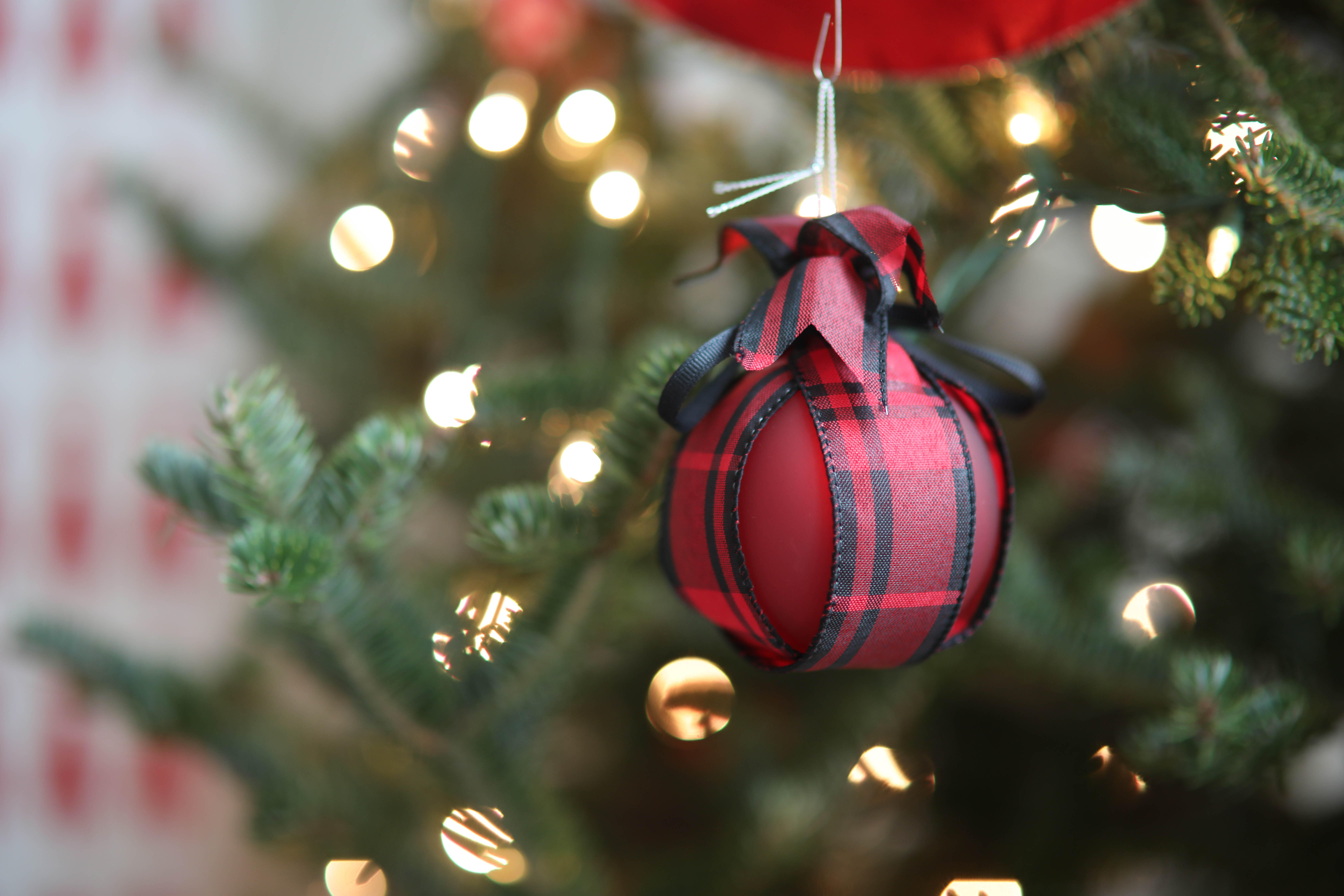 Campaign cover image for 21st Annual Holiday Tour of Homes