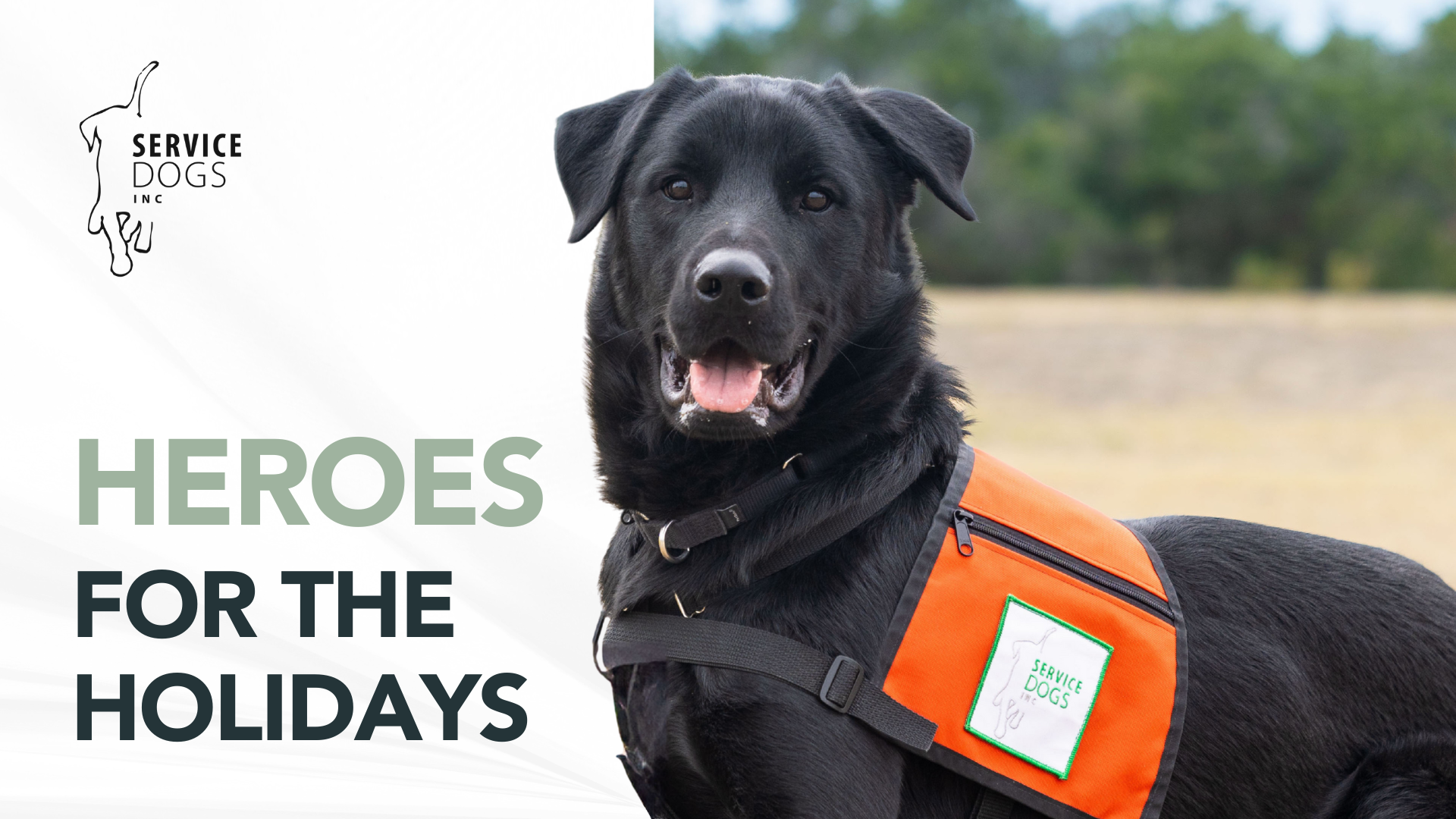 Campaign cover image for Heroes for the Holidays