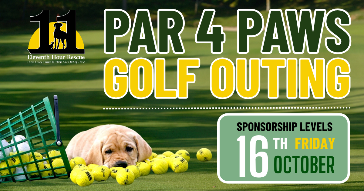 Campaign cover image for Eleventh Hour Rescue's Par 4 Paws Golf Outing Sponsorship Opportunities