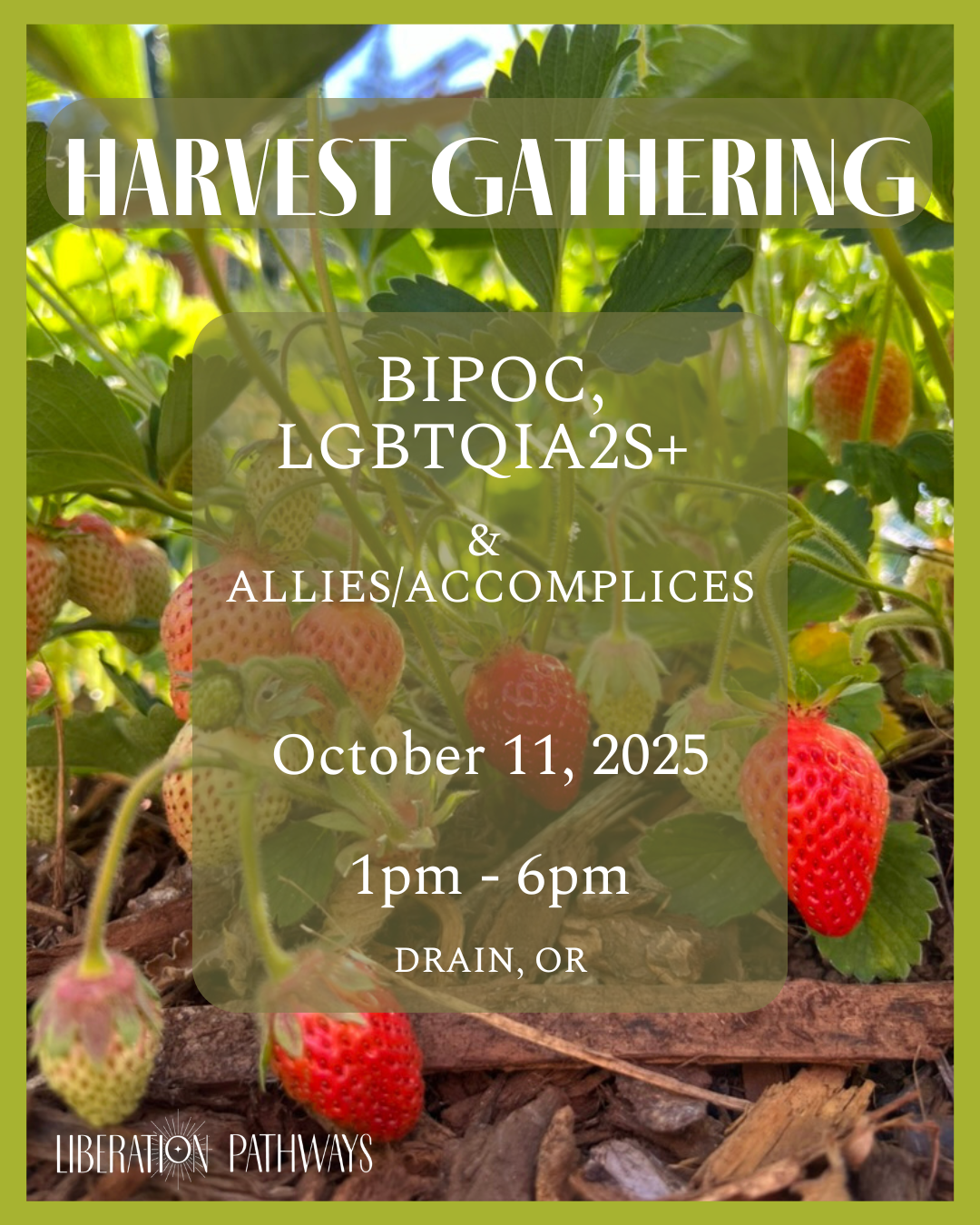 Campaign cover image for Harvest Gathering