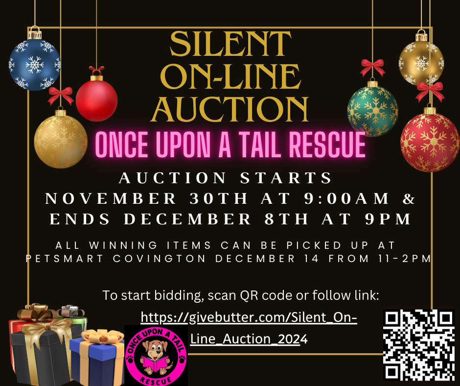 Campaign cover image for SILENT ON-LINE AUCTION 2024