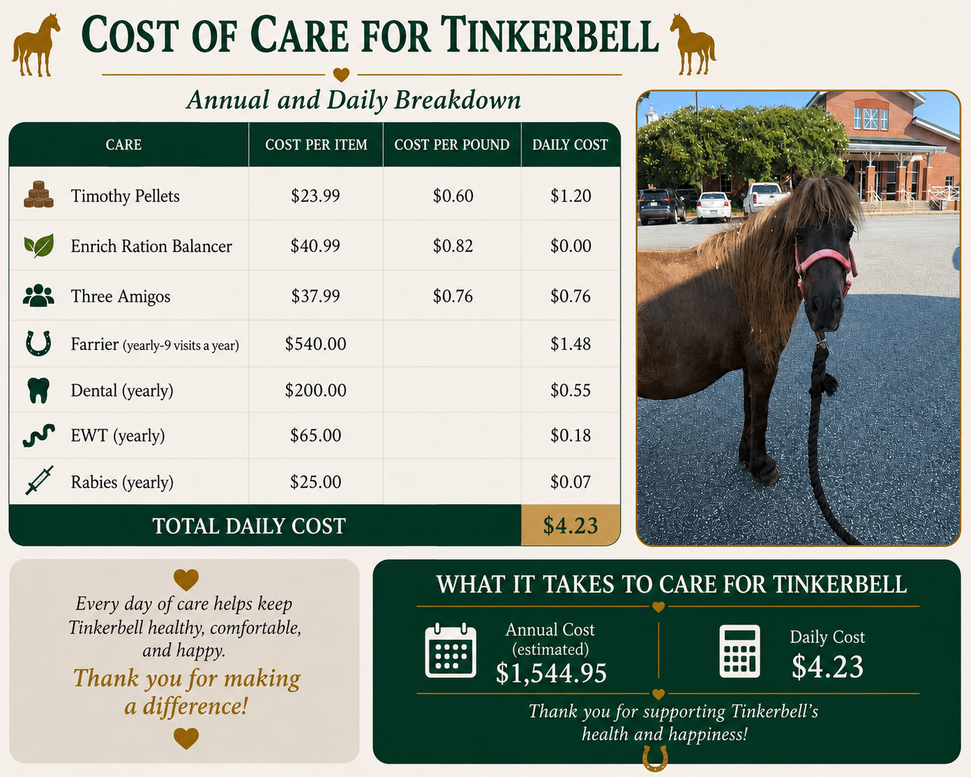 Campaign cover for Tinkerbell Sponsorship