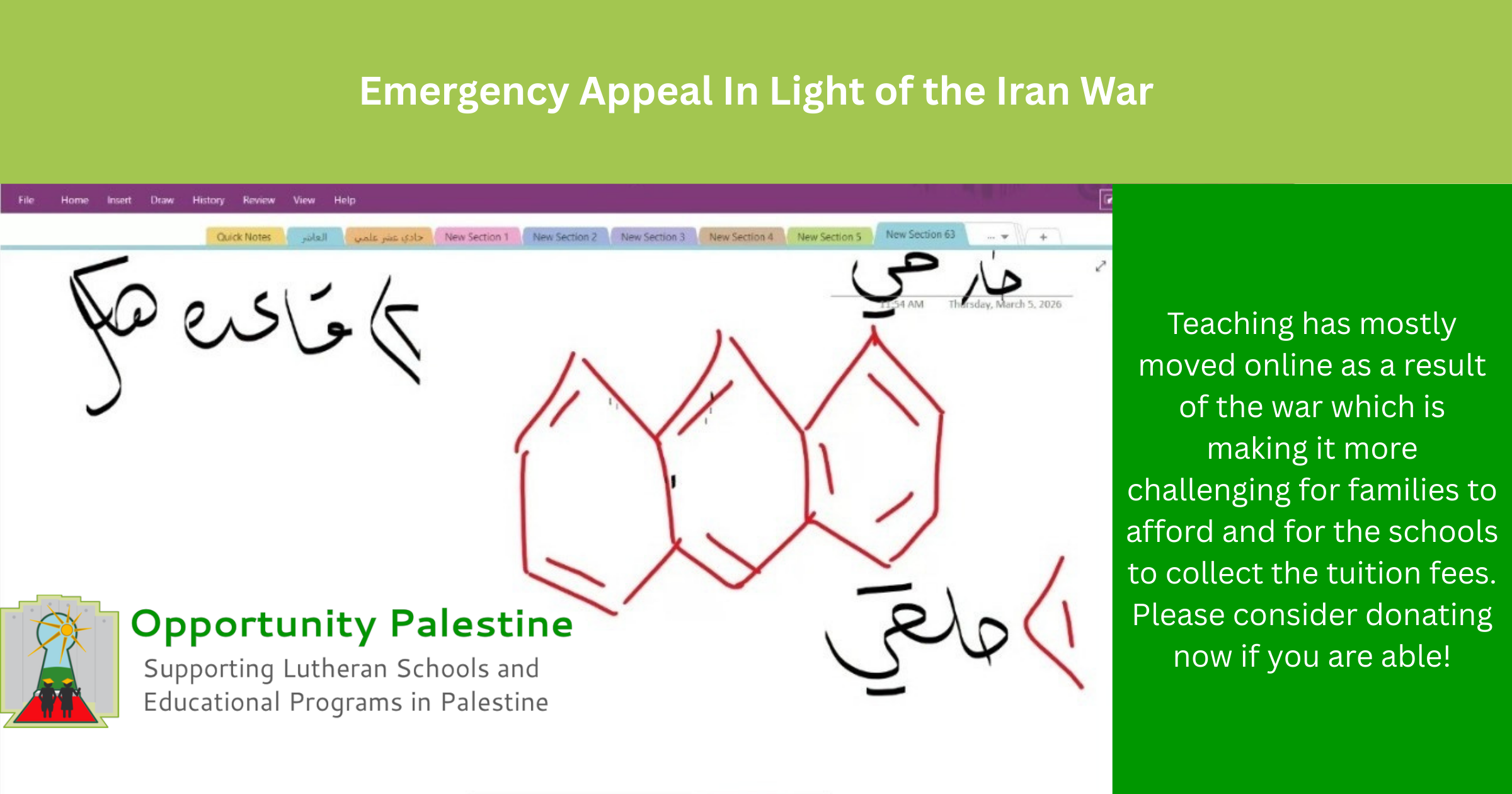 Campaign cover for Emergency Campaign In Light of the Iran War