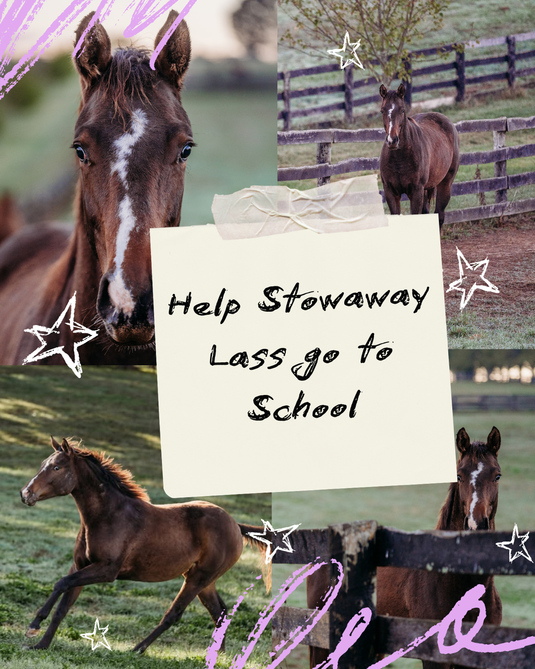 Campaign cover image for Help Stowaway Lass Go To School