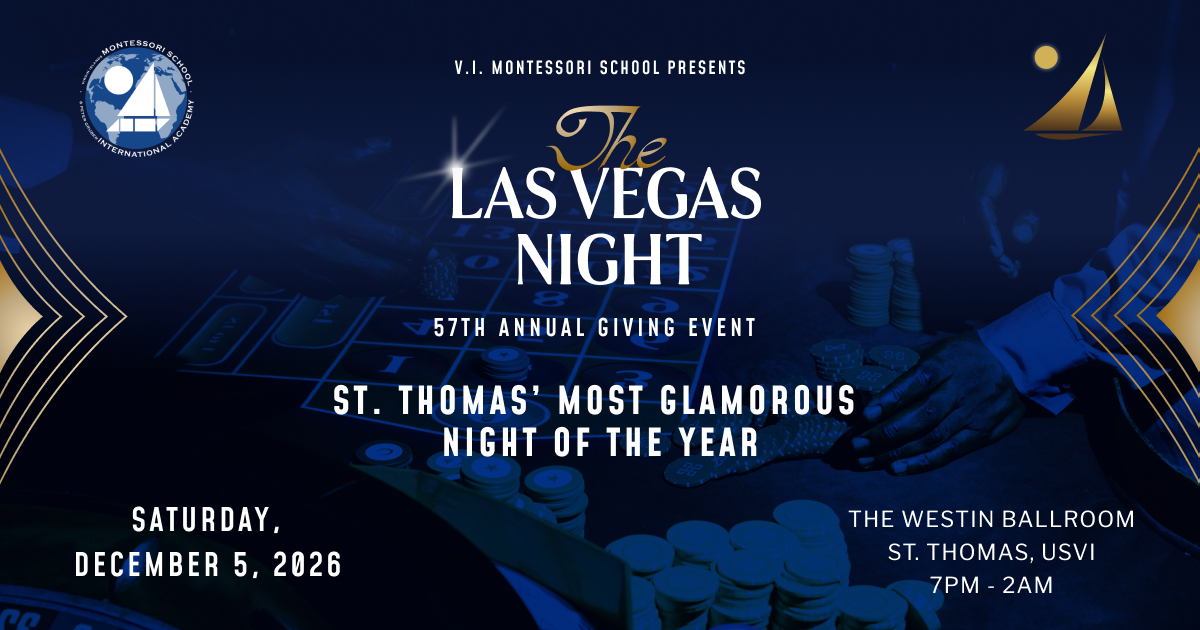 Campaign cover image for VIMSIA's Las Vegas Night 2026