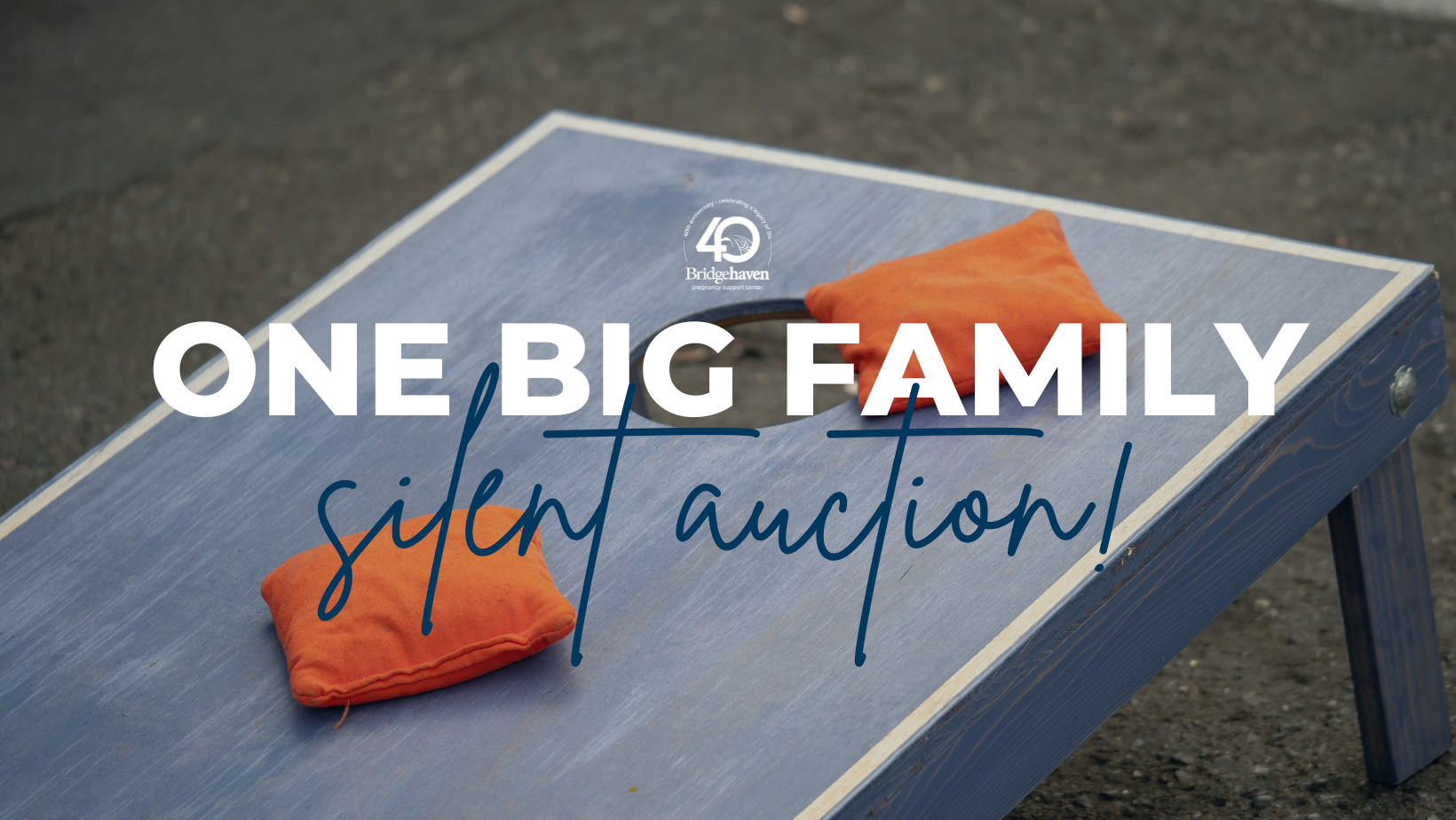 Campaign cover image for One Big Family Silent Auction!