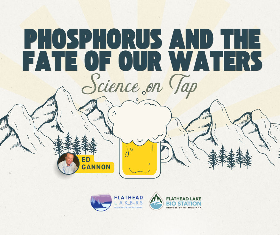 Campaign cover image for Science on Tap - June 2026