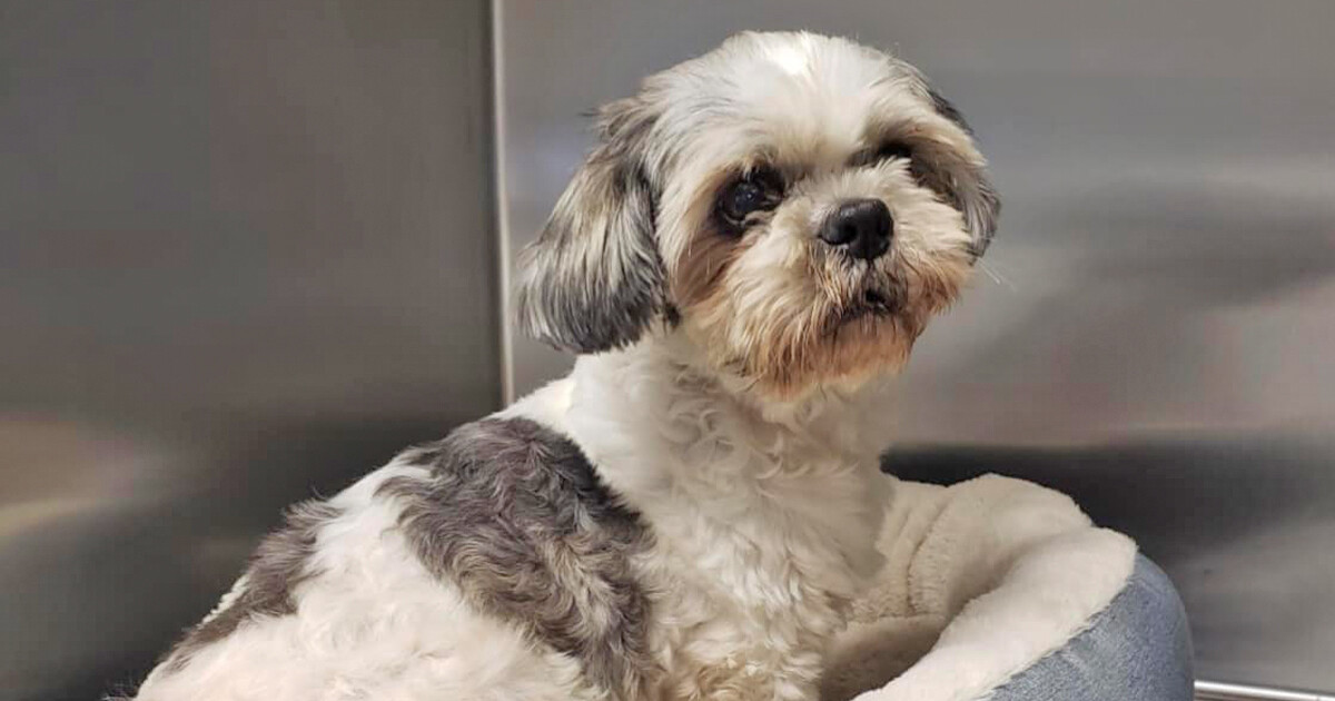 Donations for Nativity