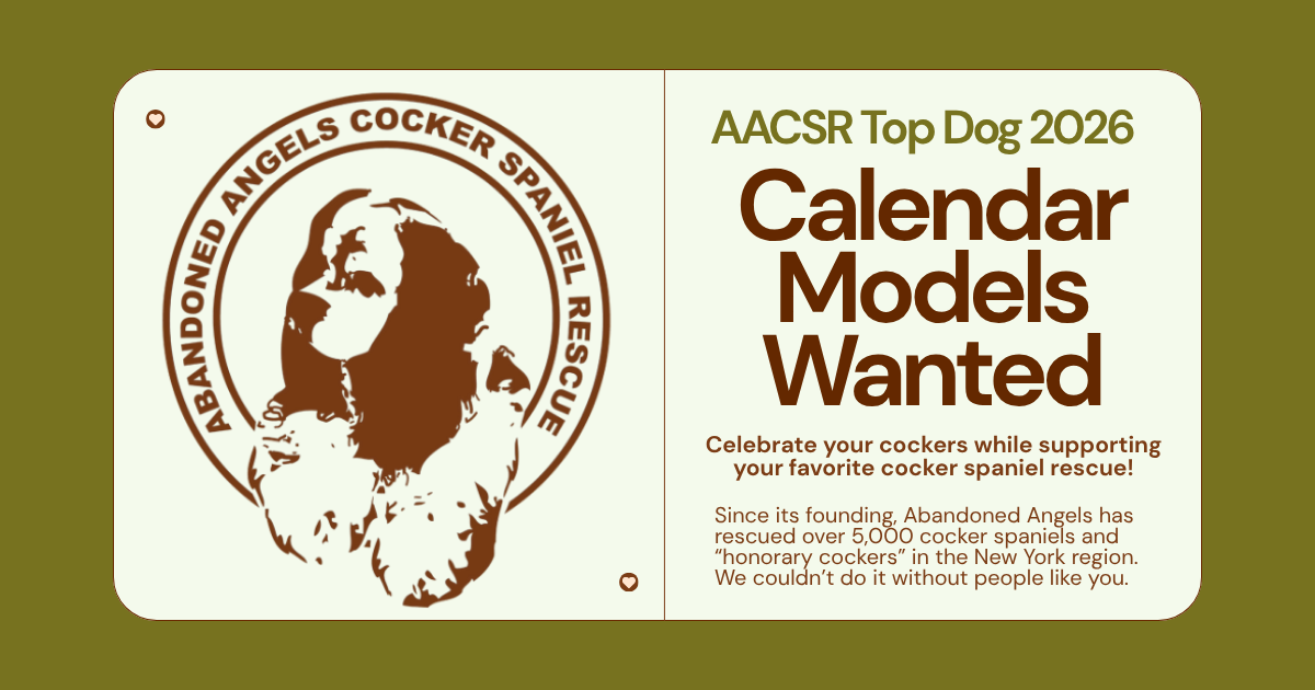 Campaign cover image for AACSR's Next Top Dog Model 2026