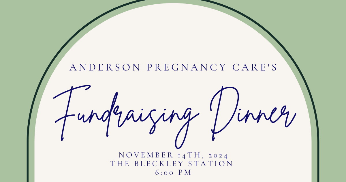 Campaign cover image for Anderson Pregnancy Care's 2024 Fundraising Dinner