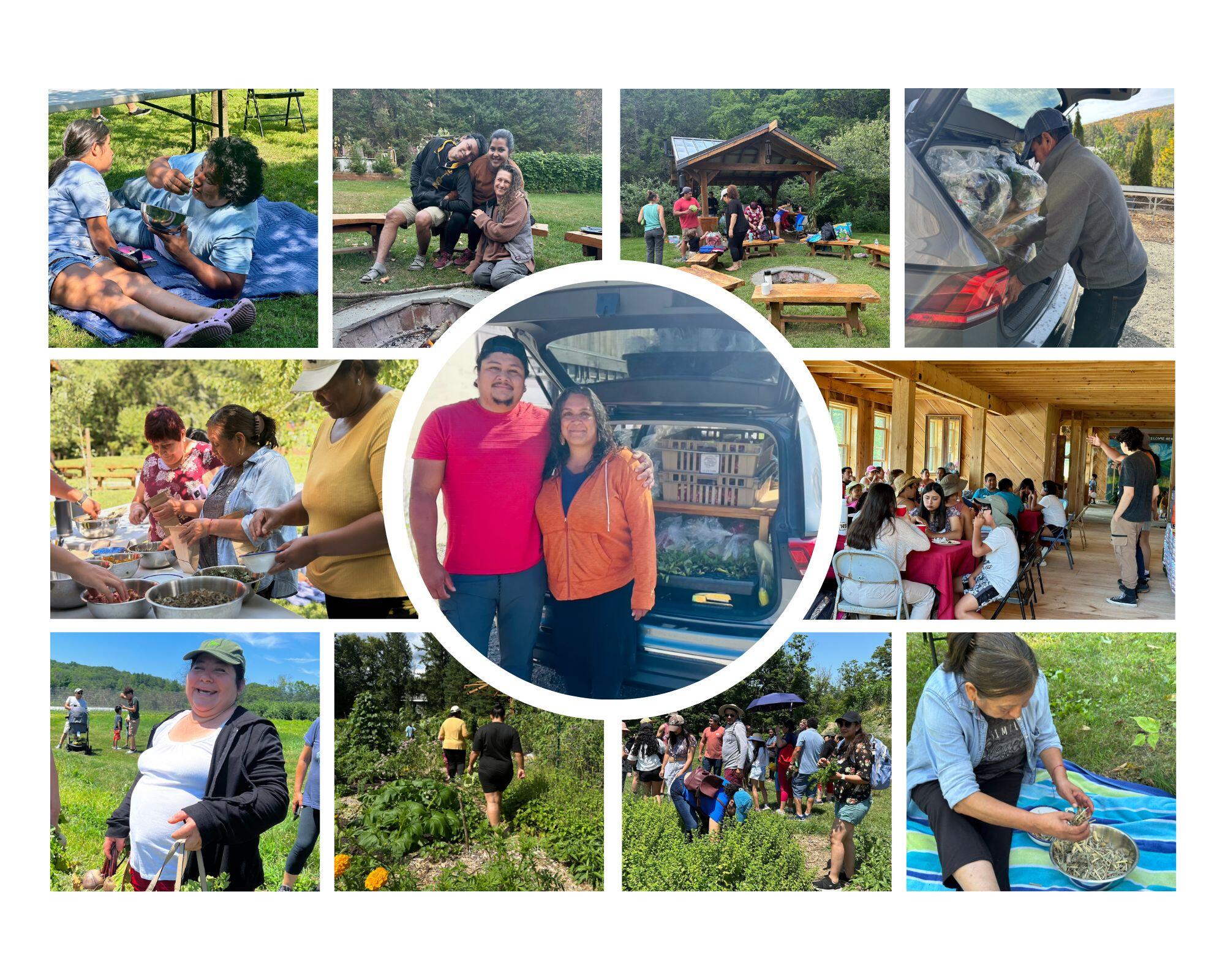 Campaign cover image for Seeding Solidarity