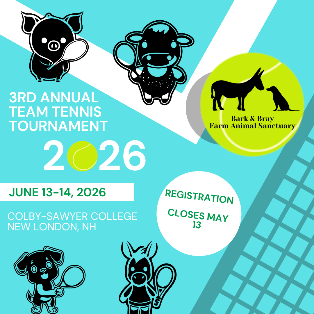 Campaign cover image for Team Tennis Tournament 2026