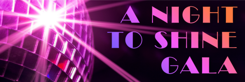 Campaign cover image for A Night to Shine Gala