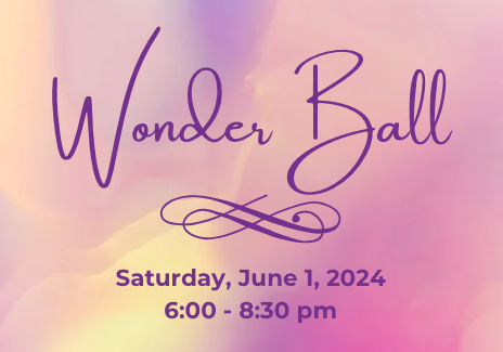 Campaign cover image for Wonder Ball 2024