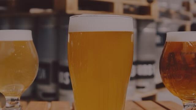 Campaign cover image for Oktoberfest for PALS