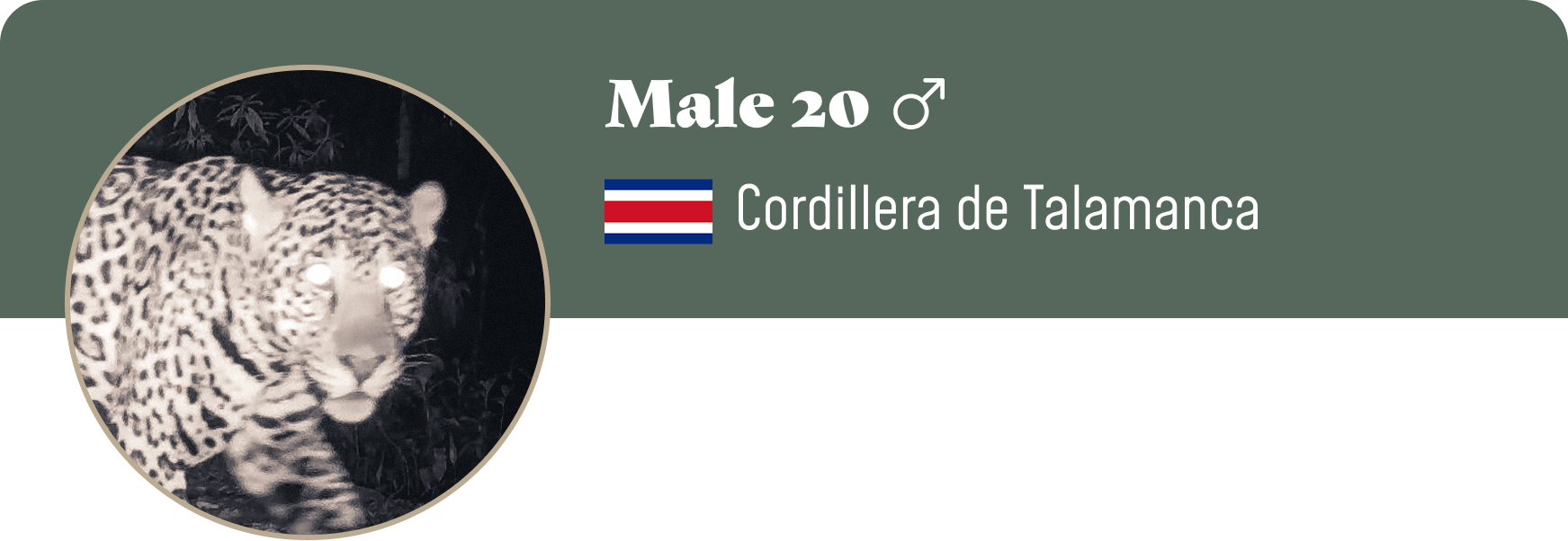 Campaign cover image for Adopt Male 20