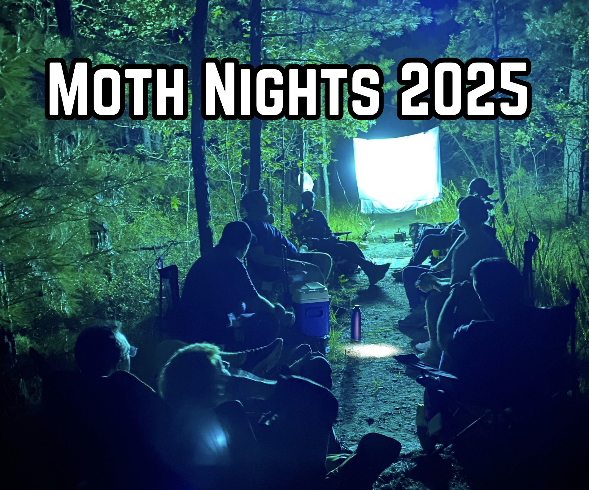 Campaign cover image for Moth Night August 2 (Artist Edition Part 2)