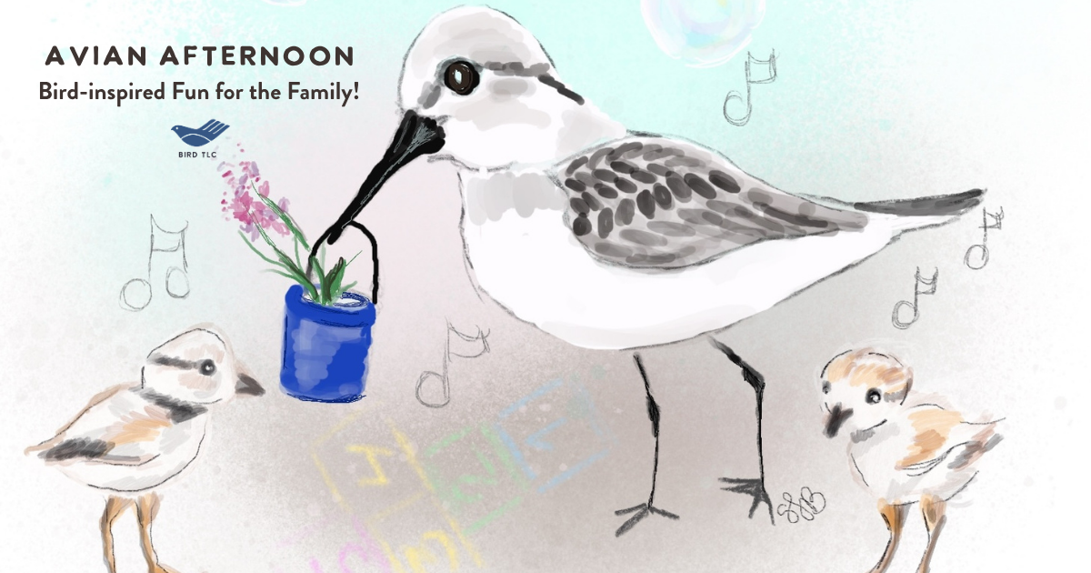 Campaign cover for Avian Afternoon 2026