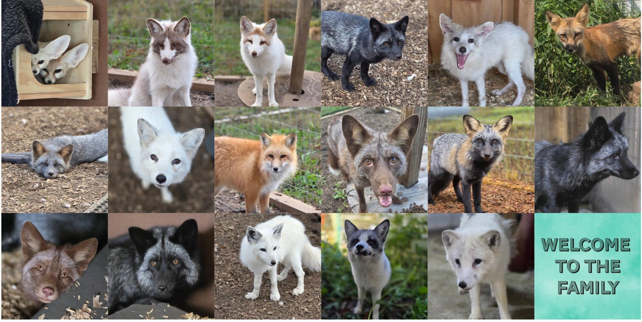 Campaign cover image for New Arrivals