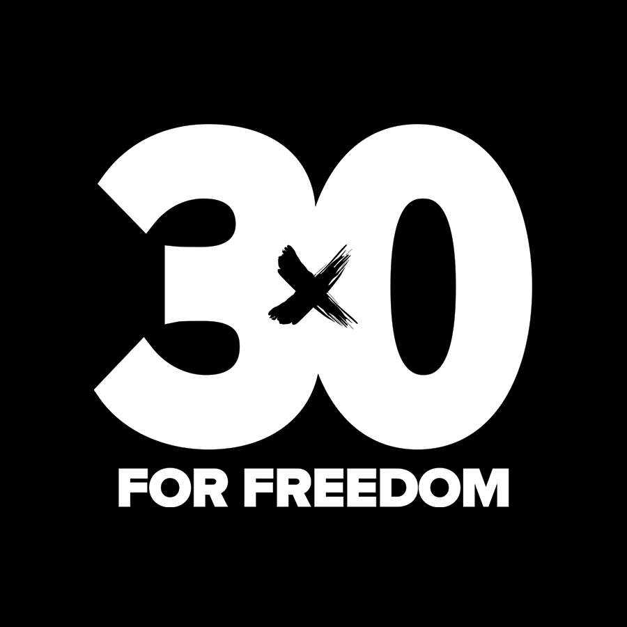Campaign cover image for 30 For Freedom