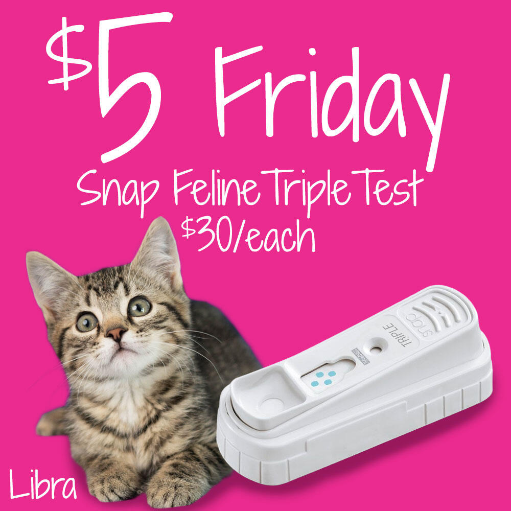 Campaign cover for $5 Friday